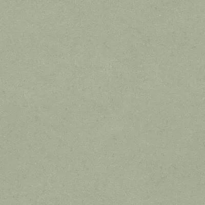 开云体育